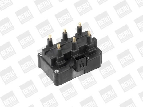 Ritė, uždegimas BorgWarner (BERU) ZS470