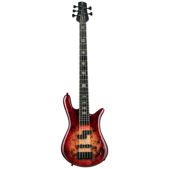 Bosinė gitara Spector Euro5 CST NRBG