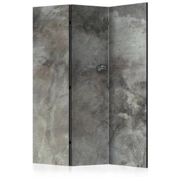 Artgeist Pertvara - Hail Cloud [Room Dividers] 135x172