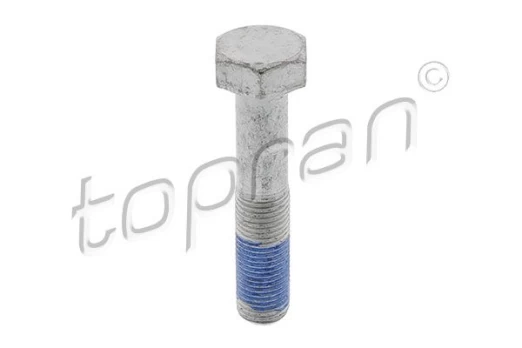 Skriemulio varžtas TOPRAN 723 934