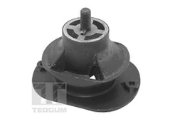 Variklio montavimas TEDGUM TED40521