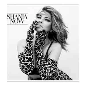 CD Shania Twain - Now