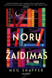 Norų žaidimai kaina