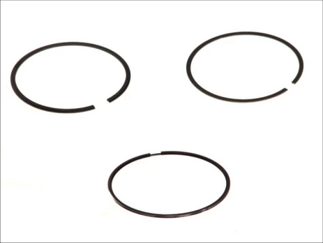 MAHLE 030 60 N0 Piston ring set