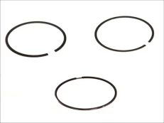 MAHLE 030 60 N0 Piston ring set kaina