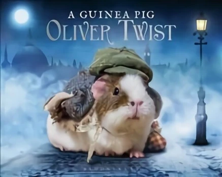 Guinea Pig Oliver Twist