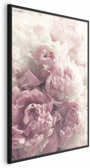 Artgeist Plakatas - Delicate Peonies