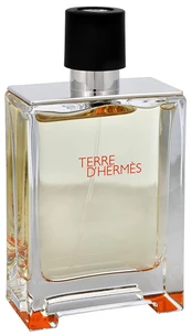 Hermes Terre D´ Hermes - EDT TESTER 100ml Vyrams