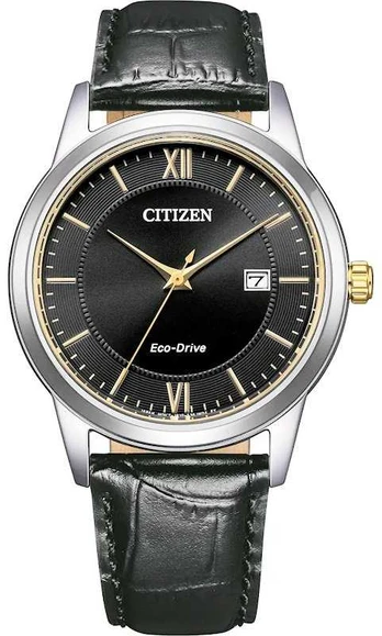 Laikrodis Citizen Eco-Drive AW1784-16E