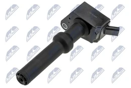 Ritė, uždegimas NTY ECZ-FR-031