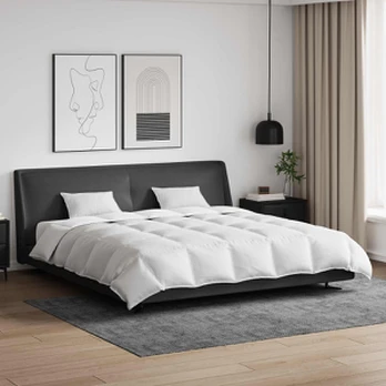 Antklodė su pagalve 3 pcs Balta 240 x 220 cm Pūkai