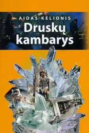 Druskų kambarys kaina