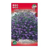 LOBELIJA PAPRASTOJI (mėlyna) kaina