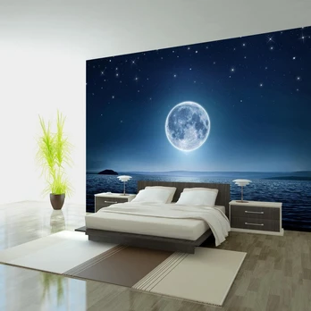 Artgeist Fototapetas - Moonlit night