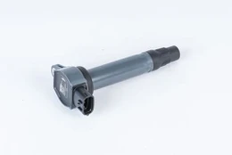 Ritė, uždegimas BorgWarner (BERU) ZSE207
