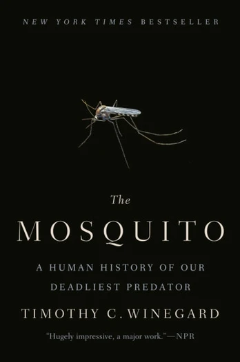 Mosquito