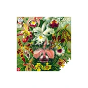 Puzzle Good Loot 1000 Imagination Ernst Haeckel Orchidea / Orchid kaina
