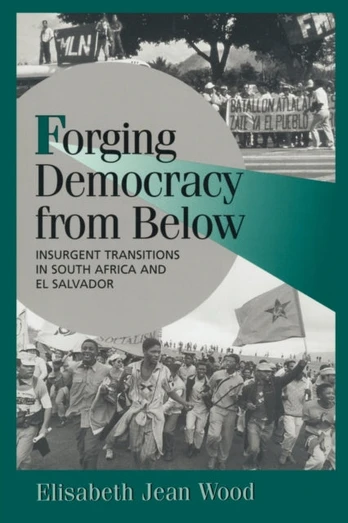 Forging Democracy from Below