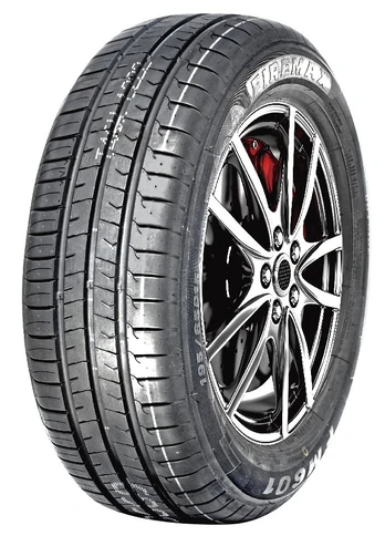 Firemax FM601 255/30R20 92 W