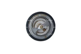 Termostatas, aušinimo skystis NRF 725026 kaina