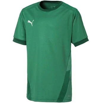 Vaikiškas marškinėlis Puma teamGOAL 23 Jersey žalias 704160 05