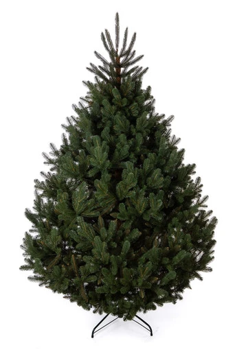 Kalėdinė eglutė Nevada 2.20m