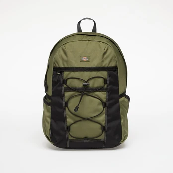Dickies Ashville Backpack Cypress (DK0A4Y33K721 Kuprinės)