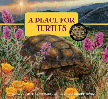 Place for Turtles