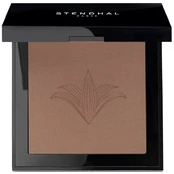 Pudra Stendhal Perfecting Compact 150 Santal, 9 g kaina
