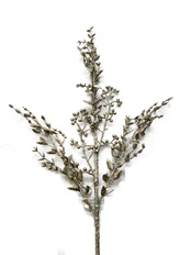Dirbtinė gėlė Christmas Touch, aukso sp., 70 cm kaina