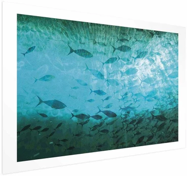 Artgeist Plakatas - Group of Dark Fish