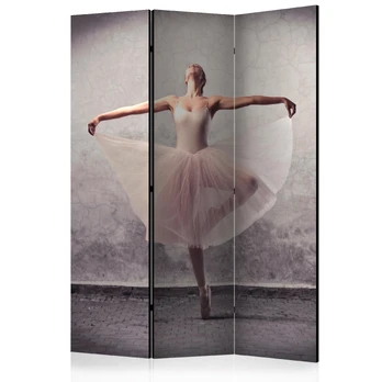 Artgeist Pertvara - Classical dance - poetry without words [Room Dividers]
