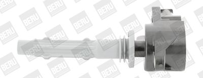 Ritė, uždegimas BorgWarner (BERU) ZSE140