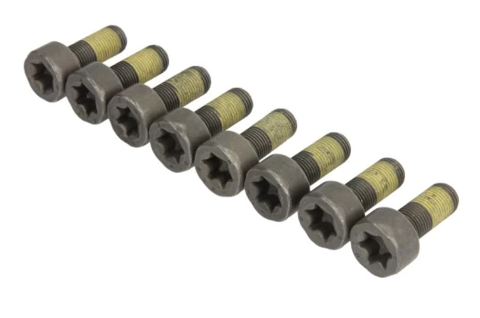 LUK 411 0259 10 Flywheel bolt set