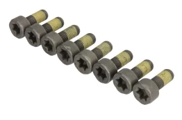 LUK 411 0259 10 Flywheel bolt set kaina