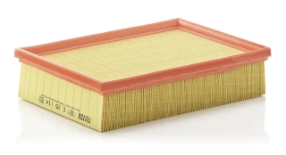Oro filtras MANN-FILTER C25114 kaina