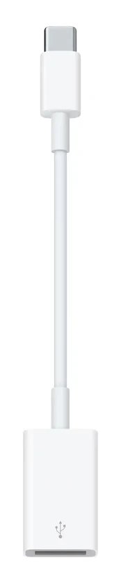 USB-C to USB Adapter