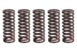 Sankabos spyruoklių rinkinys TRW MEF312-5 kaina
