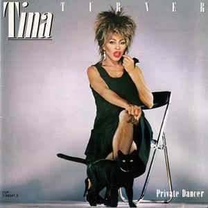 CD Tina Turner - Private Dancer