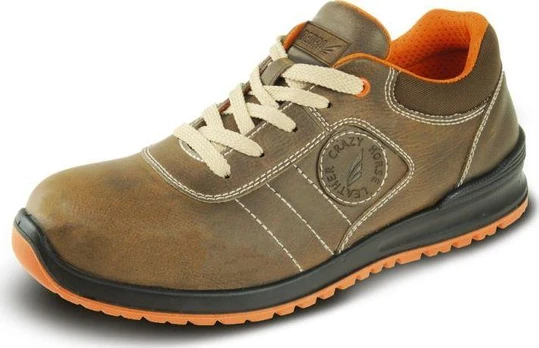 Dedra Apsauginiai batai P4 crazy horse dydis 37 kat S3 SRC