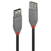 A TIPO USB2 KABELIS 3M/ANTHRA 36704 LINDY kaina