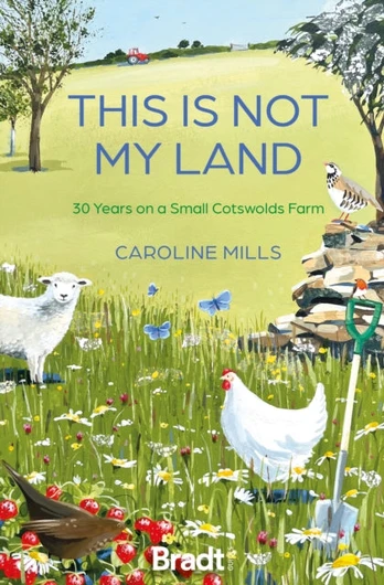 This is not my land