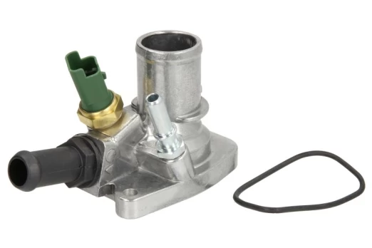 termostatas, aušinimo skystis THERMOTEC D2F003TT