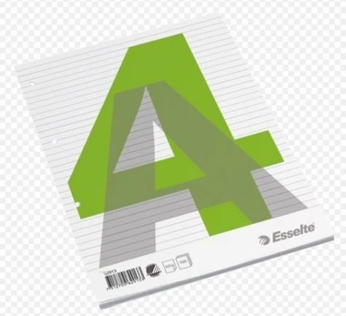 Notebook, removable pages, Esselte, A4/100, lined 0723-206