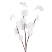 Eurofirany KW/FLORE/710/B B kaina