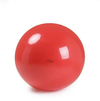 Kamuolys Physio Gymnic 120 cm