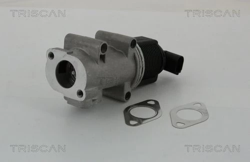 ERG vožtuvas TRISCAN 8813 10005