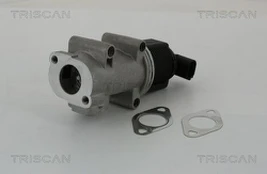 ERG vožtuvas TRISCAN 8813 10005