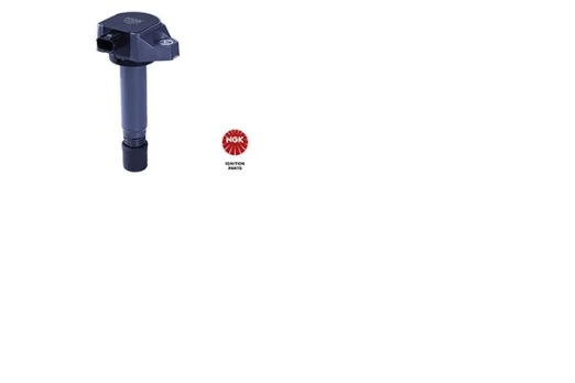 Ritė, uždegimas NGK 48266