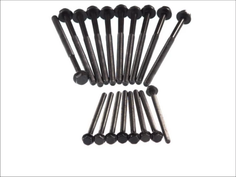 ELRING EL175580 Cylinder head bolt set